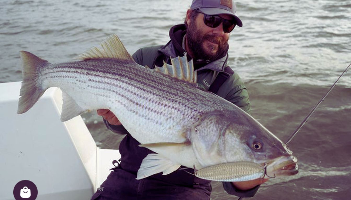 Raritan Bay fishing Report Today