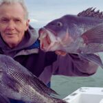 CT Saltwater Fishing Report Today 🎣