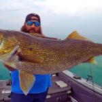 Lake Erie Fishing Report Today 🎣