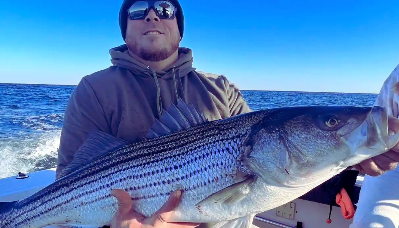 point pleasant fishing Report Today