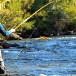 Logan Utah Fishing Report Today 🎣