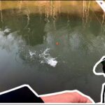 Racoon Creek Fishing Report Today 🎣