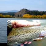 Red Feather Lakes Fishing Report Today 🎣