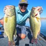 Alamo Fishing Report Today 🎣