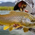 Coalville Utah Fishing Report Today 🎣