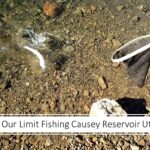 Causey Reservoir Fishing Report Today 🎣