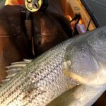 Corsons Inlet Fishing Report Today π£