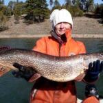 Fool Hollow Lake Fishing Report Today 🎣