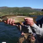 Grand Lake, Colorado Fishing Report Today 🎣