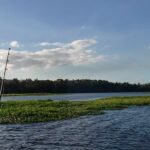 Interlachen Florida Fishing Report Today 🎣