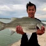 Jackson Reservoir, Colorado Fishing Report Today 🎣