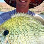 Lake Havasu Fishing Report Today 🎣