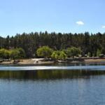 Lynx Lake Fishing Report Today 🎣