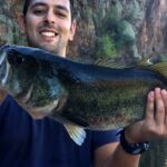 Saguaro Lake Fishing Report Today 🎣