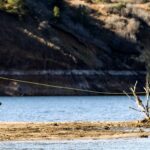 Jordanelle Reservoir Fishing Report Today 🎣