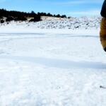 Matt Warner Reservoir Fishing Report Today 🎣