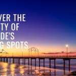 Adelaide Fishing Report Today 🎣