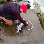 Ashtabula, Ohio Fishing Report Today 🎣