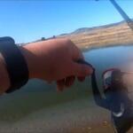 Blunn Reservoir Fishing Report Today 🎣