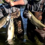 Tibble Fork Fishing Report Today 🎣