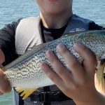 Cape May Fishing Report Today π£