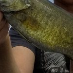 East Canyon Reservoir Fishing Report Today 🎣