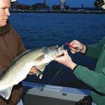 Cleveland Fishing Report Today 🎣