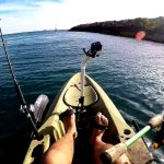 Cockburn Sound Fishing Report Today 🎣