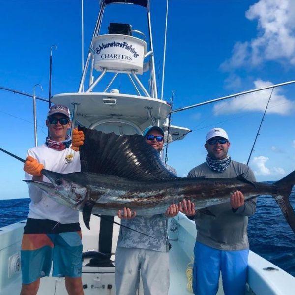 How to Catch Sailfish: Complete Guide to Techniques, Gear, and Locations